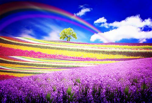 顾思懿裴景霄小说叫什么 顾思懿裴景霄小说全文免费阅读