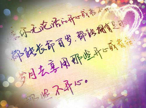 沈意欢陆沉舟小说目录 沈意欢陆沉舟完整免费版阅读