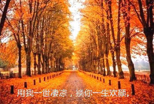 林以安江砚小说名字 林以安江砚全文免费阅读