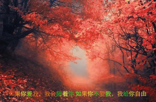 全文免费重生后，我不作死，温柔待校草男友姜许陆执好书_重生后，我不作死，温柔待校草男友姜许陆执好书全文免费