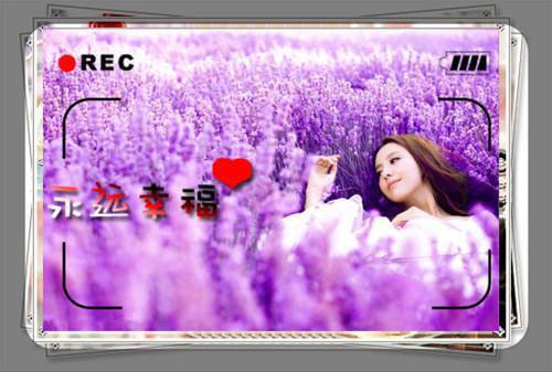 顾晓菲顾衍免费阅读第1章 顾晓菲顾衍大结局