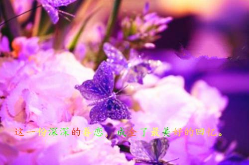 谢蒲林砚川小说名字免费 未婚夫为佛女祈福放生扶贫鱼苗后，我被蠢笑了章节阅读
