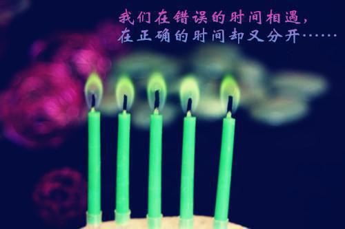 顾玉莹何逸洲小说全文免费阅读 顾玉莹何逸洲最新章节