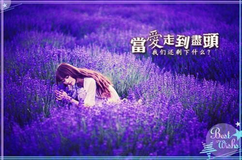 沈涛张兰芳完整未删减版在线阅读 沈涛张兰芳结局