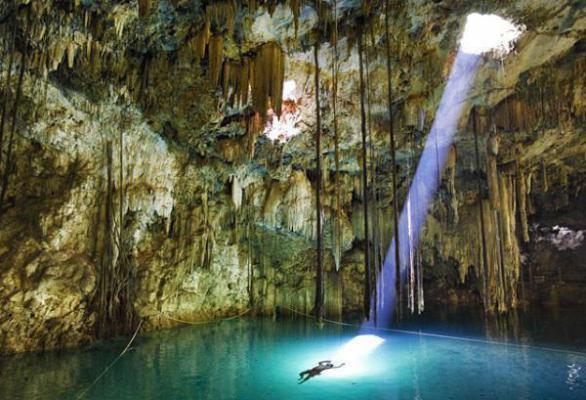 你选的白月光，我找到首富亲妈后，你哭什么？免费无弹窗 冷凝霜陈平小说阅读