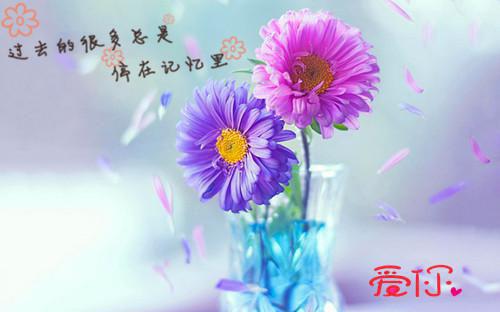 拒绝还债后，老公疯了陆怀川昭昭小说在线免费阅读(大结局)