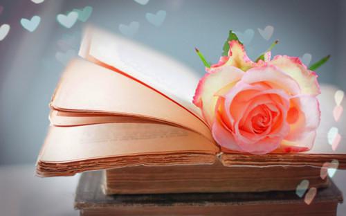 季怀川陆少倾《重生后，我打脸写弹幕的妹妹》小说在线阅读