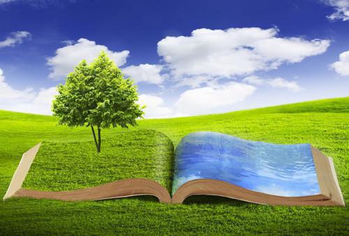 莫雨苏南星全文免费 莫雨苏南星在线阅读