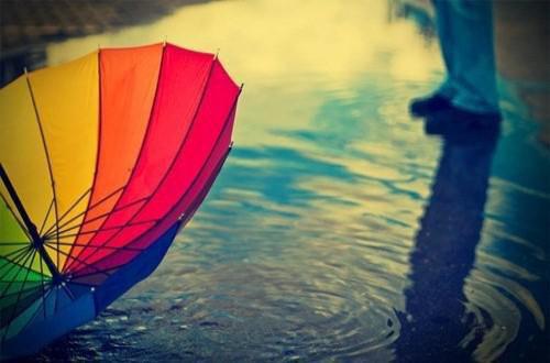 人面桃花长相忆小说全文（阮雾梨闻砚辞）最新章节列表_人面桃花长相忆小说全文（阮雾梨闻砚辞）全文+后续+结局在线阅读