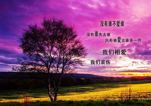 离婚后，我靠每日情报成首富！黎小九 沈丛张颖小说