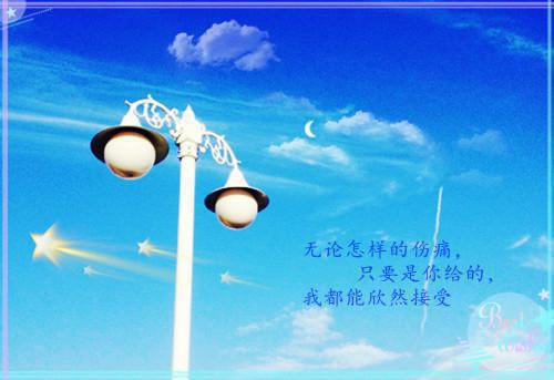 江北无间无广告 虞向西孟冉虞肖北在线免费阅读