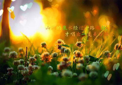 宁做乞丐婆，不当世子妃：后续：全文周婉莹谢云舟沈熹微萧璟川首发小说 周婉莹谢云舟沈熹微萧璟川在线阅读