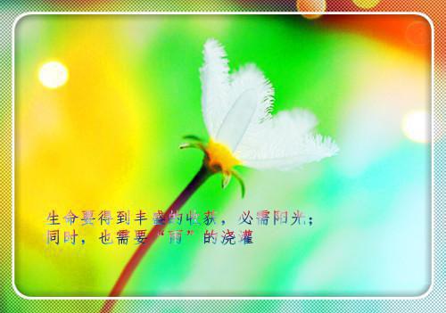 许初念沈清梨什么小说 许初念沈清梨全文免费阅读