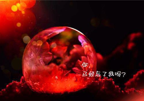 亚土豆：大结局+番外齐向兰舟贺章节目录免费看