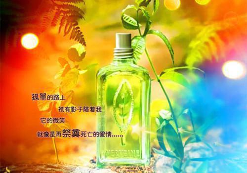 我家收养的孤儿，让我给别人当牛马最新更新 周楚年程秋张宝珠免费读
