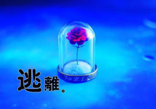 苏兰曾浩免费小说 苏兰曾浩全文阅读目录