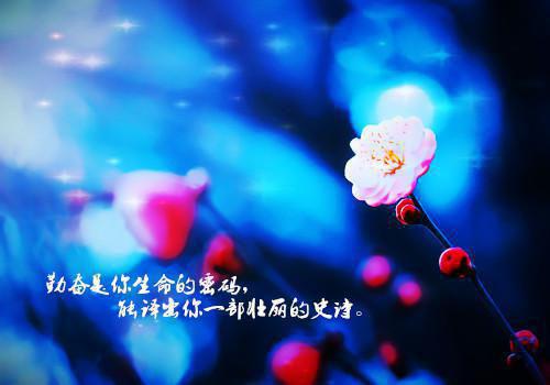 方小鱼:全文+番外+章节前文（上交系统后我带飞全国）TXT清爽版在线