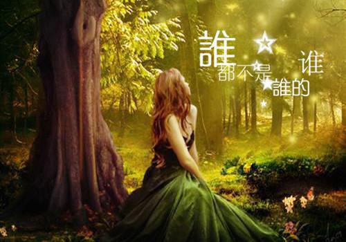 顾总你别太过分，我们已经离婚了最新更新 陆语婳顾瑾衡小说在线阅读