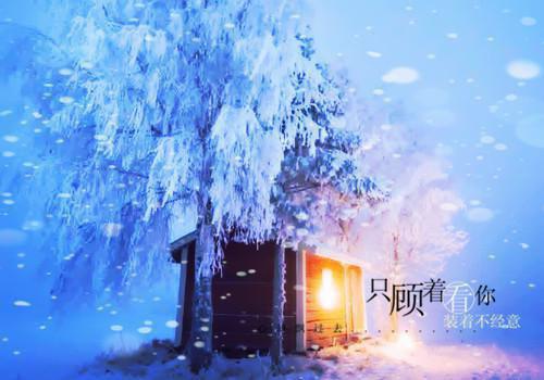 盛兮若的小说众生普渡，唯我是劫：结局+番外爽文盛兮若顾连城全文在线阅读