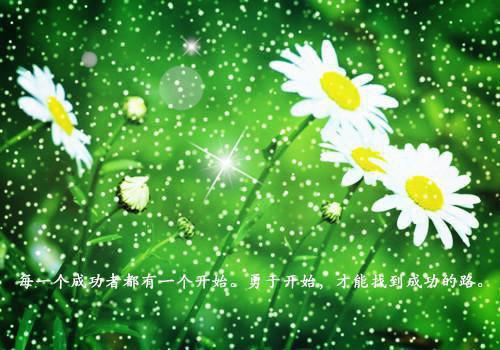 王莉沈左权小说全免读 王莉沈左权在线阅读
