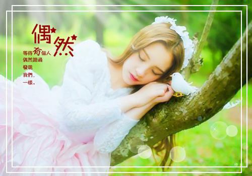桑浅顾凛小说叫什么名字 桑浅顾凛全文免费阅读