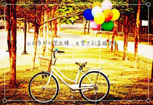 止损目录 苏晴申引无弹窗阅读