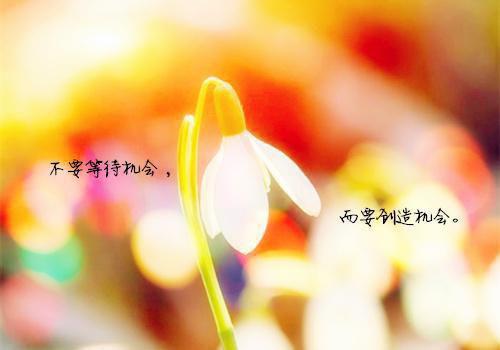 妻子全文免费 妻子在线阅读