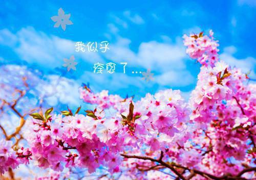许家博郑薇免费阅读第6章 许家博郑薇大结局