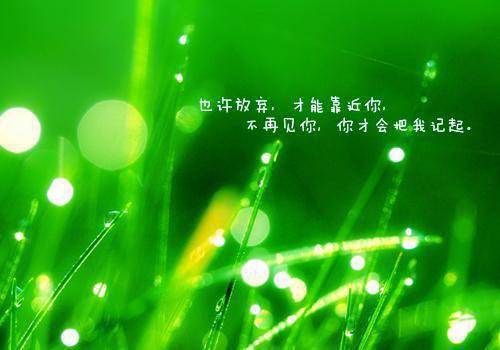 秦朝露顾闻洲完整版 秦朝露顾闻洲小说全文在线阅读