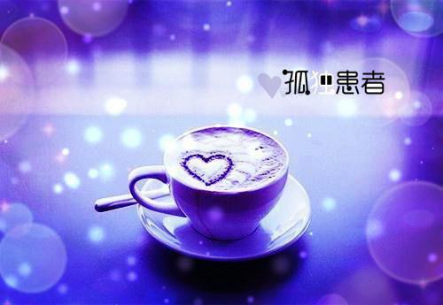 顾念安陈雪小说 顾念安陈雪免费全文阅读