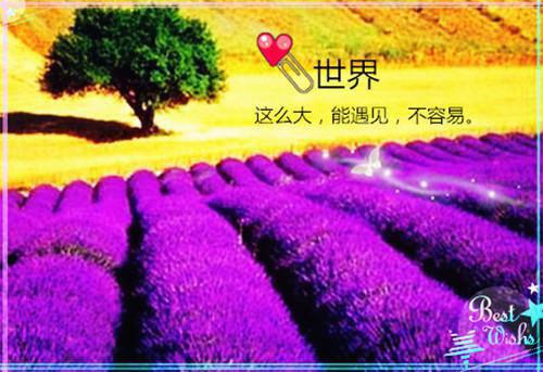 于晚风中说再见裴时越晏清染晏清染裴时越小说最新章节(在线阅读)