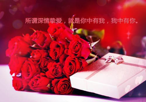 晚风轻吻夏夜萤火：好文分享（裴少舟陆闻迟）已完结，晚风轻吻夏夜萤火：好文分享已完结