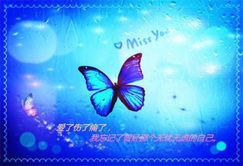 此去经年人未还经典荡气回肠（沈青禾霍沉洲）全文免费_（沈青禾霍沉洲）此去经年人未还经典荡气回肠后续阅读（沈青禾霍沉洲）