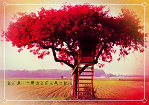主角林忱范漾漾小说 林忱范漾漾小说全文免费阅读