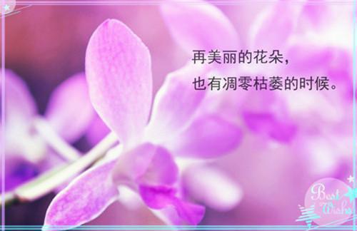 慕云舟苏蔓小说目录 慕云舟苏蔓完整免费版阅读