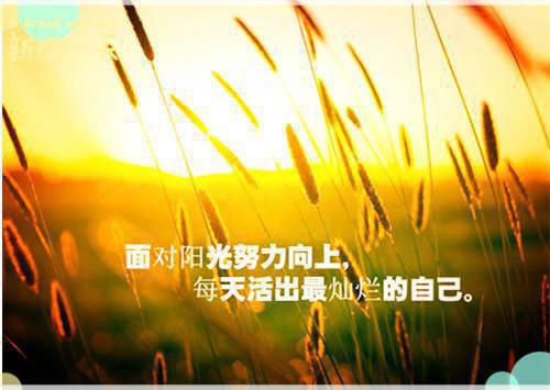她的初恋归来后，我离婚了免费阅读小说 阮娇娇郑潇陈小虎在线阅读