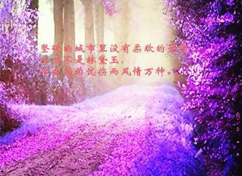谢容止倾颜是啥小说 谢容止倾颜免费阅读无广告