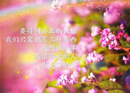 程昭昭裴行知免费阅读 程昭昭裴行知大结局