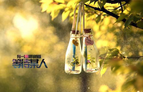 愿红柳结局祁红柳郑渊裴清风最新章节在线阅读