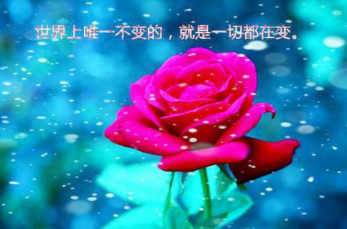 季望川宋清秋免费 重生斩红线：这一世还你自由完整版小说