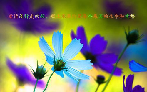 慕清禹苏祯娇主角的书 弱精症老公讨厌孕妇全文阅读免费