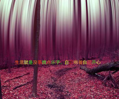 岁岁如昨不相逢免费阅读 许知夏裴衍之季疏晚小说无弹窗