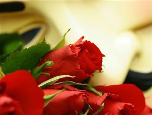 宋星眠陆时衍全文免费无弹窗 桃枝微雨掩归人：小说结局+番外章节试读