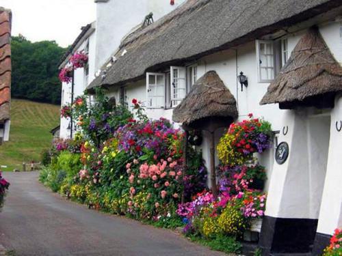 苏浩辰梁南静免费阅读 苏浩辰梁南静最新章节目录