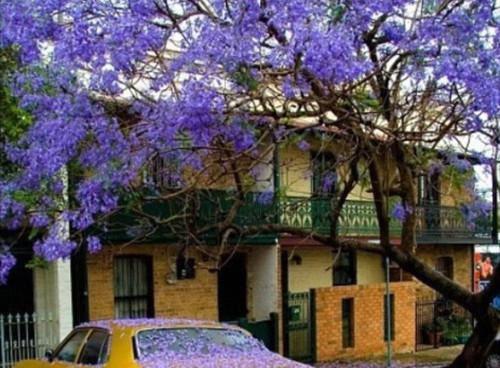 在寺庙茅房苟了两年后，我夺舍圣僧女弟子杀疯了最新章节 清尘玄镜在线阅读