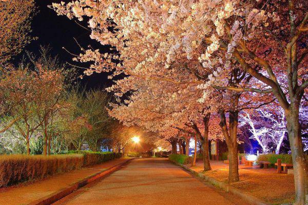 沈南星降初次恒全文免费 沈南星降初次恒在线阅读