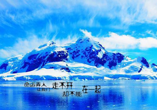 等囚鸟逃离暮色 主角林婧姝顾言淮小说