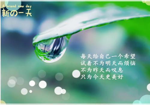 陆枫黄乾最后结局 陆枫黄乾完结版免费阅读