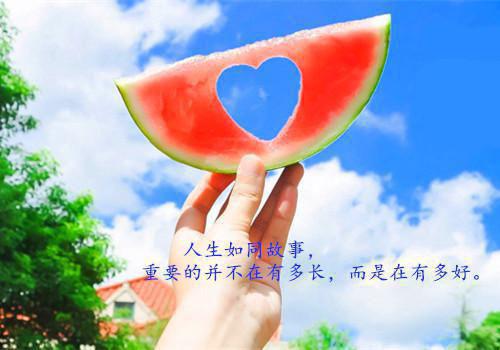 沈诺顾明修全文最新章节正版小说免费阅读