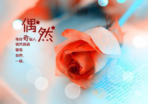 经年离歌愁未休：+结局+番外(顾允廷宋卿落)全文顾允廷宋卿落阅读无弹窗结局_顾允廷宋卿落+结局最新章节列表_笔趣阁（经年离歌愁未休：+结局+番外）